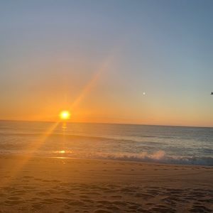 Meet your Posher, Lucy